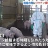 「豚コレラ」感染拡大受け飼育の豚にワクチン接種の方向で検討｜ニフティニュース