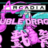Double Dragon : Technos Japan Corp. : Free Borrow & Streaming : Internet Arc