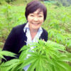「安倍昭恵」は日本の「大麻闇ルート」における中核的存在です。 | Kawataのブログ