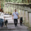 犬連れ参拝客に人気の神社が「ペット連れ禁止」の苦渋の決断｜ニューズウィーク日本版