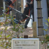 天王寺動物園に「ヒト」の生態展示？　アスレチックで遊ぶ子どもたち、パネルで解説(