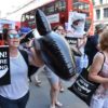「クジラを殺すな」　日本IWC脱退　ロンドンで抗議デモ（北海道新聞） - Yahoo!ニュー