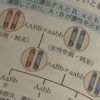 遺伝子「優性・劣性」“高校教科書では別表現を”日本学術会議 | NHKニュース