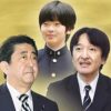 皇位継承、眼前にある危機　「今後１０年が正念場」 | 社会 | カナロコ by 神奈川新聞