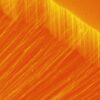 MIT Tech Review: 東大、熱を一方向のみに伝えるナノチューブ新素材を開発