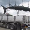 最後の調査捕鯨始まる 北海道 網走 | NHKニュース