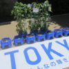 アサガオで警備に癒やし＝東京五輪・パラ会場に４万鉢－組織委：時事ドットコム