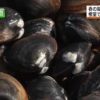 根室の干潟で手掘りのホッキ貝漁｜NHK 北海道のニュース