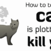 ネコがあなたを殺そうとしているサイン - GIGAZINE