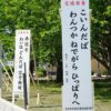 「ひっぱりへ」「わいはどんだば」　津軽弁の交通安全標語看板に新作　 - 弘前経済新