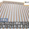 豚コレラ　風評被害の対策強化へ｜NHK 石川県のニュース