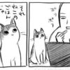 【漫画】柿ピーを食べていると寄って来た子猫　容赦ない仕打ちに「好き」「分かる」（